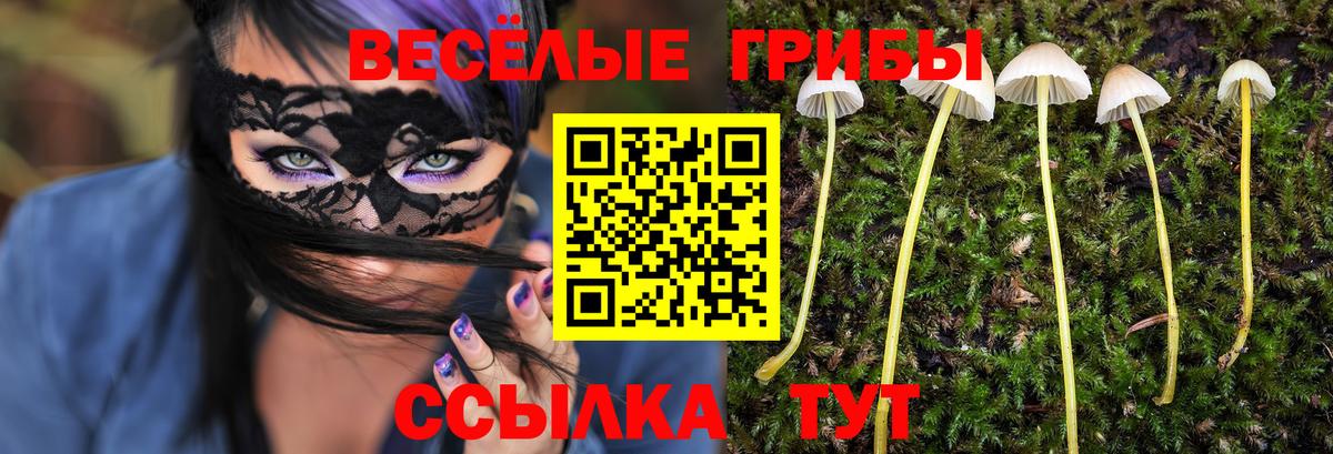 Галлюциногенные грибы мухоморы Горно-Алтайск